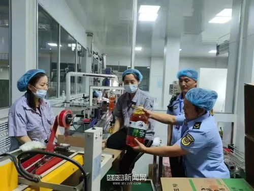 检管结合技术帮扶 你点我检惠民惠企——服务活动进食品生产企业与工程管理服务